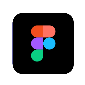 Logo FI