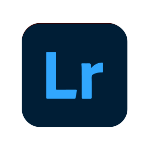 Logo LI